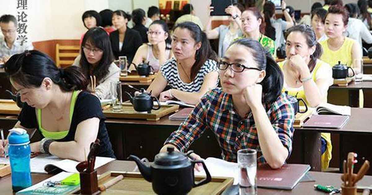 Чайная теория